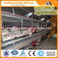 Automatic Layer Quail Cage/Automatic Chicken Cage /Poultry Farming Equipment(20 years' factory)